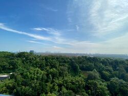 Normanton Park (D5), Apartment #519107691